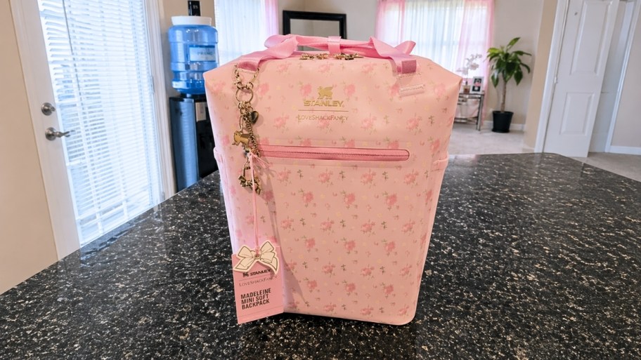 a mini cooler backpack on a countertop