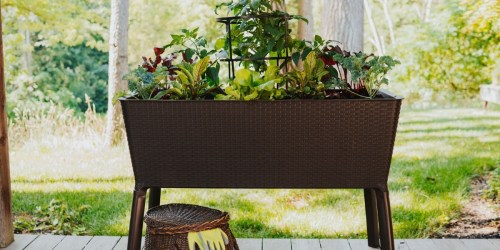 Raised Garden Bed Just $74.98 Shipped on Lowes.com (Reg. $100)
