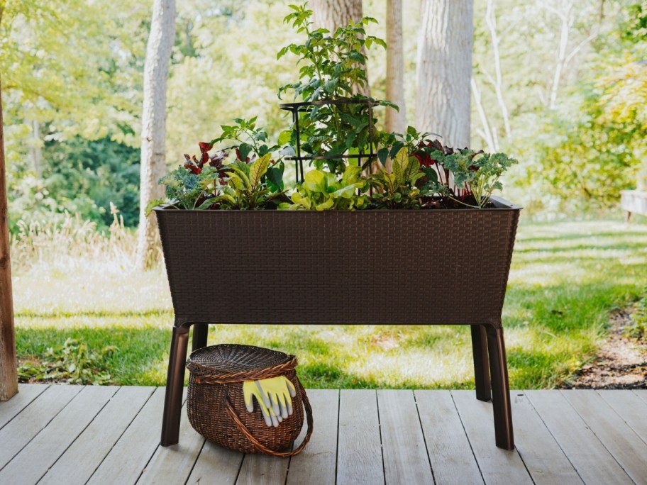 raised resin garden bed in brown, on a patio.