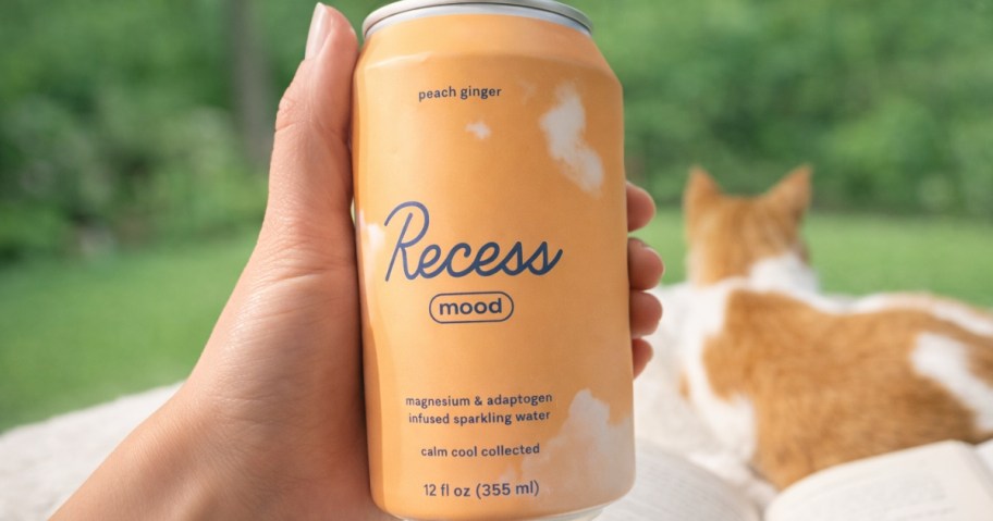 hand holding a can of Recess Mood drink, cat looking into a backyard behind it
