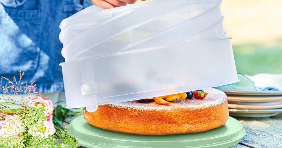 A person lifts a translucent cake cover, revealing a round cake topped with fruit. It&rsquo;s outdoors on a wooden table, alongside flowers and plates.