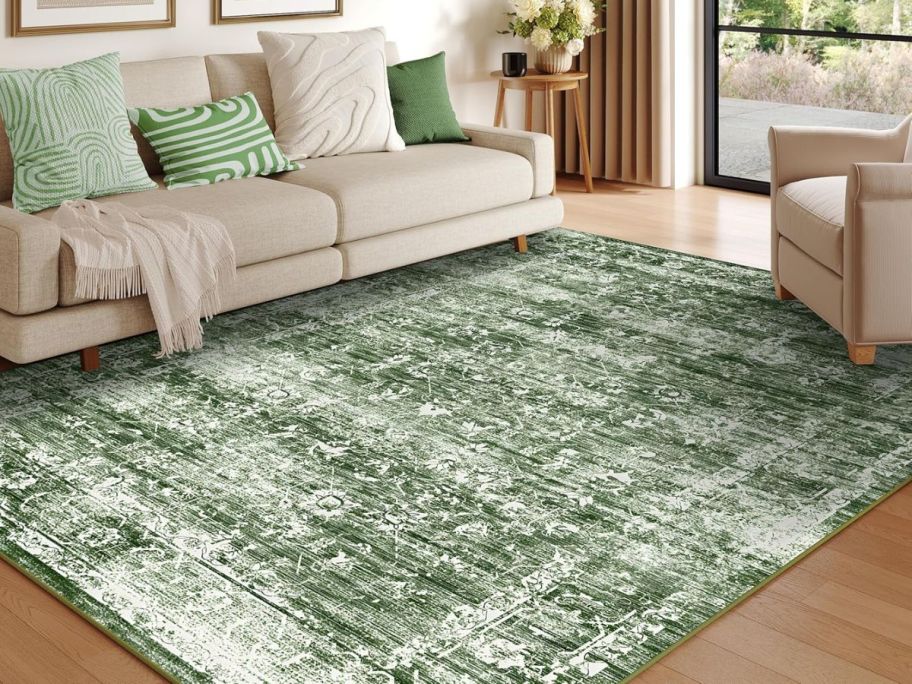 a green and white boho area rug in a living room