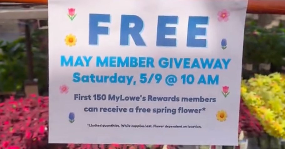 Today Only! FREE Mother&rsquo;s Day Flower at Lowe&rsquo;s (+ New Pink Kobalt Tool Set)