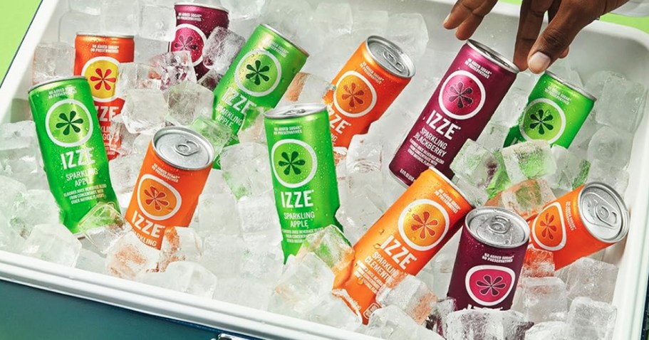 IZZE 24-Count Variety Pack Only $13.48 Shipped on Amazon (Reg. $20)