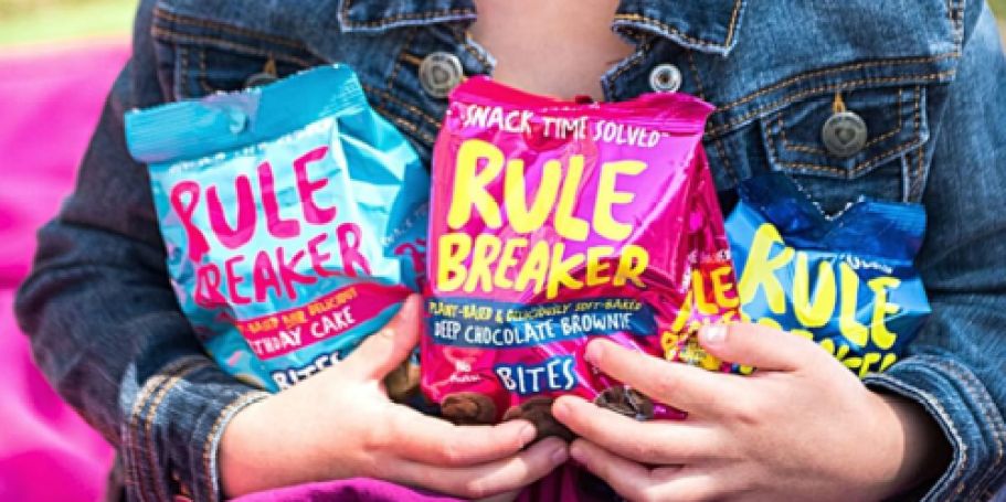 3 POUNDS of Rule Breaker Cookies Only  $18 Shipped (Reg. $60) | Going Fast!