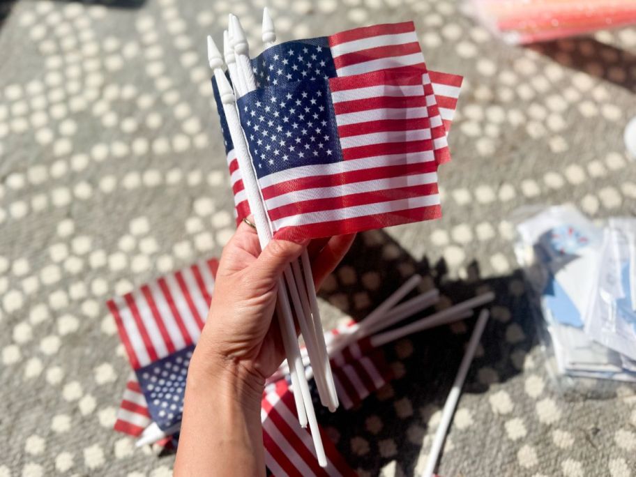Small Cloth American Flags on Wooden Stick in hand