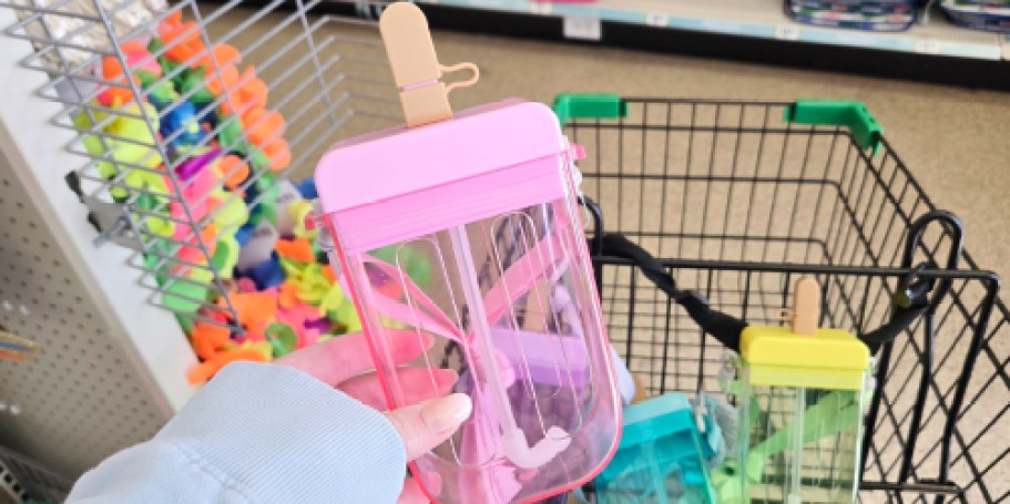 These Viral Dollar Tree Finds are Back – Popsicle & Camera Canteens!