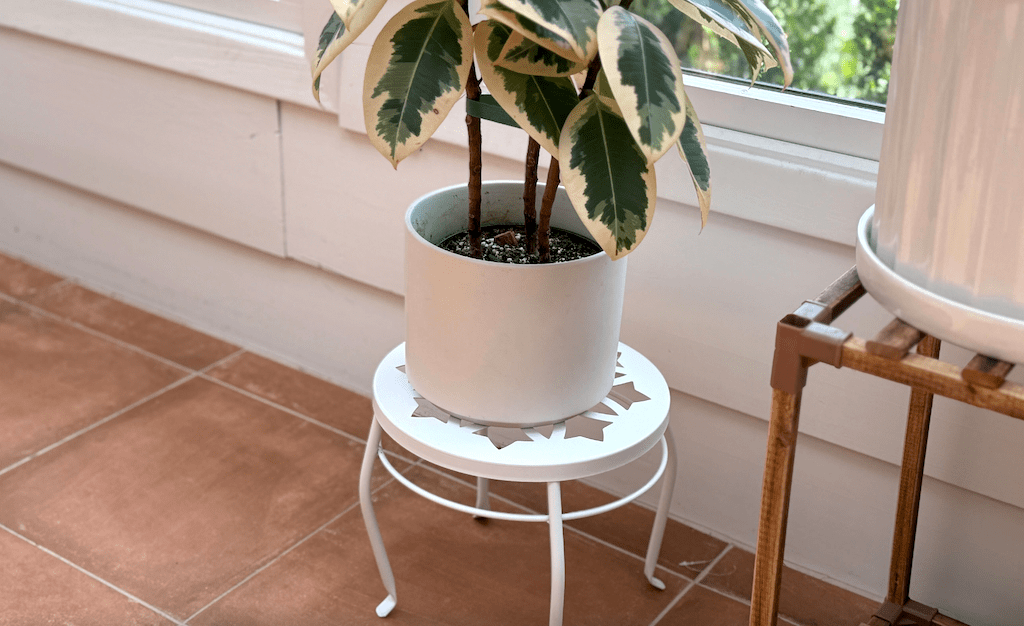plant stand 